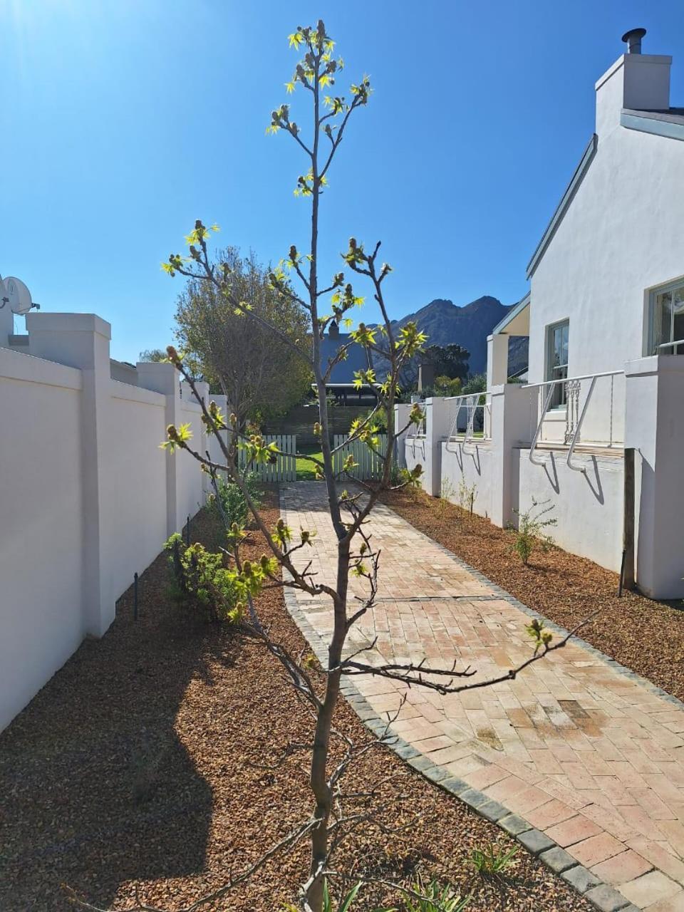 Largest One Bed Apartment & Private Pool In The Hoek Franschhoek Zewnętrze zdjęcie